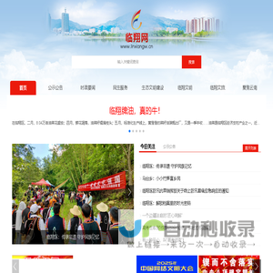 临翔网