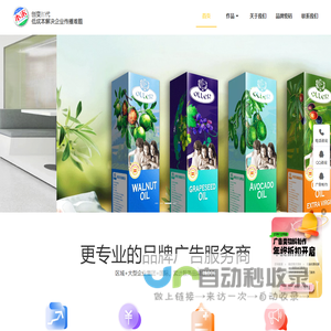 专注西安VI设计、西安文化墙设计的西安设计公司-西安本宋广告策划公司